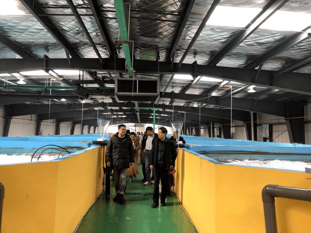 聚焦武漢優(yōu)質(zhì)蝦苗供應(yīng)，推動內(nèi)陸工廠化養(yǎng)殖產(chǎn)業(yè)升級與漁業(yè)技術(shù)革新